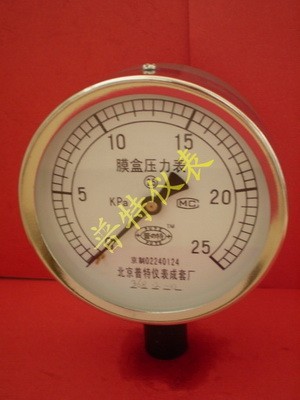 专业生产膜盒压力表YE100-150